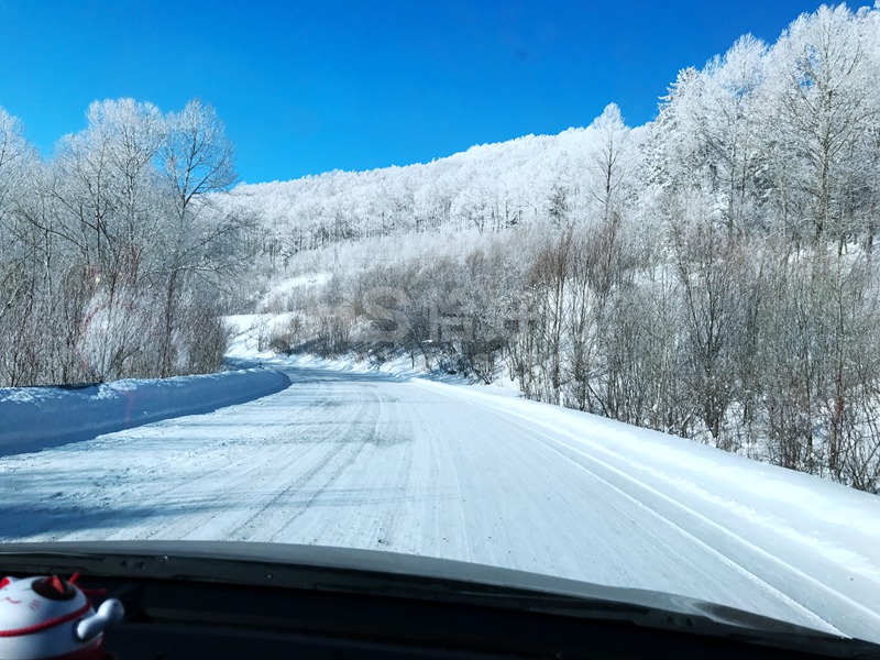 2018年的第一場(chǎng)雪，在北國(guó)雪山的恰好時(shí)綠卻生機(jī)盎然！